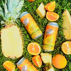 Tin Barn Brewing Dropacana #5