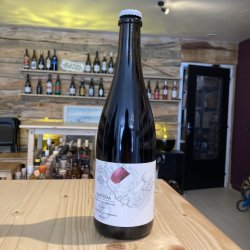 Ammonite Cuvée Vinifera 2022  Syrah - Carafons