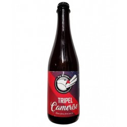 Pie braque - Tripel Camerise - 500ml - La Bière à Boire