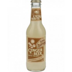 Birra Baladin Ginger Beer - Drankgigant.nl