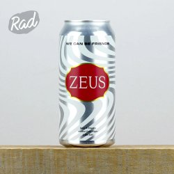 We Can Be Friends ZEUS