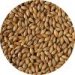 Crisp Dextrin Malt 