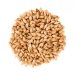 Malta Maris Otter x 1 Kg Pauls Malt Malta Maris Otter x 1 Kg Pauls Malt