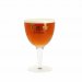 Verre Tongerlo 25 cl 