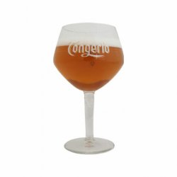 Verre Tongerlo 33 cl - RB-and-Beer