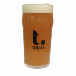 Verre Pied Plat Tripick noir 50 cl - RB-and-Beer