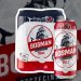 Bosman Pils 0,5l Bosman Pils 0,5l