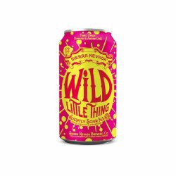 Sierra Nevada- Wild Little Thing Sour 5.5% ABV 355ml Can - Martins Off Licence