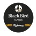 Fuglsang Black bird 