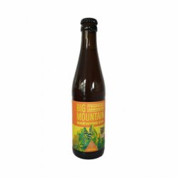 Big Mountain Tropical Smoothie IPA 33 cl - RB-and-Beer