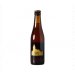 Ter Dolen Tripel 33cl 