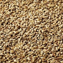 Swaen Pilsner Malt 1Kg - BrewCraft
