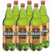 Branik Světlý ležák Pale Lager 6x 1.5l 