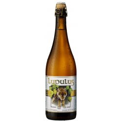 Lupulus 75 cl.-Belgian Strong Ale - Passione Birra