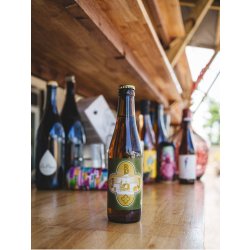 Jandrain-Jandrenouille III Gravity