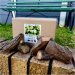 Apple Wood Chunks 1.5Kg 
