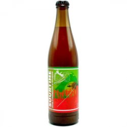 MARYENSZTADT Sourtime Gose Strawberry&Rhubarb 4,9% 0,5L - Sklep Impuls