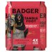 Badger Tangle Foot Golden Ale Cans 4 x 440ml 