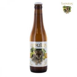 Lupulus Blonde Lupulus Blonde