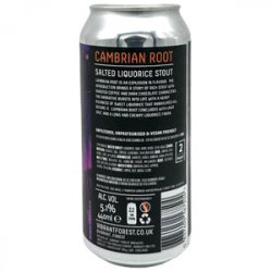 Vibrant Forest Brewery Cambrian Root - Beer Shop HQ