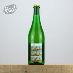 Mills Brewing Glass - Blend Five