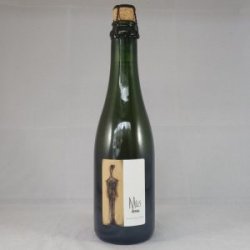 Saison Farmhouse Ale Standing Beer  37,5cl - Gedeelde Vreugde