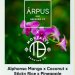Arpus - Alphonso Mango x Coconut x Sticky Rice x Pineapple Smoothie 4.5% (Mortalis Collab) ​ 