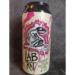 Lab Rat Raspberry Ripple Ice Cream Sour - Ossett - Yorkshire Craft Beers