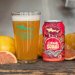 Dogfish Citrus Squall 2412 oz cans 