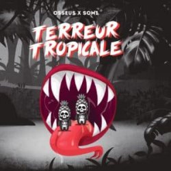 Osseus Terreur Tropicale 44Cl  Sour IPA  Collab Somi  6% - Brasserie Osseus