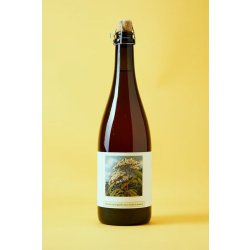 Popihn Sauvages FLEUR DE SUREAU (2024) Popihn Sauvages FLEUR DE SUREAU (2024)