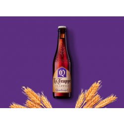 La Trappe Trappist Quadrupel - Thirsty