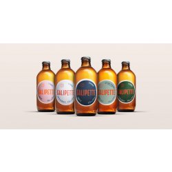 Galipette Cidre Mix case - Galipette Cidre