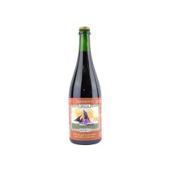 Struise Pannepot Special Reserva Vintage 2011 75cl - Drankenhandel Leiden / Speciaalbierpakket.nl