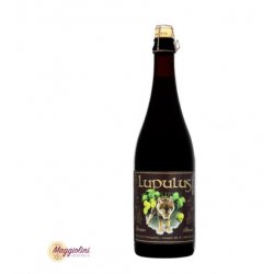 Lupulus Brune