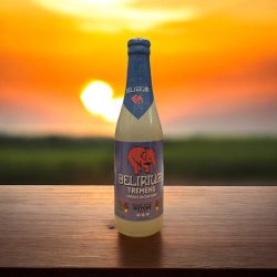 DELIRIUM TREMENS STRONG BLONDE BEER BOTELLA 330 ml - Hidden Beers