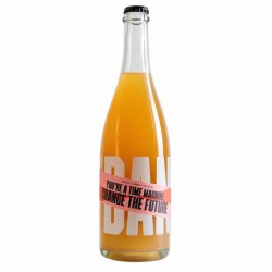 Brussels Beer Project 4 x Youre a Time Machine, Change the Future - 75cl - Brussels Beer Project