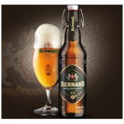 Bernard Family Brewery Gluten Free Lager (Bezlepkový ležák) Bernard Family Brewery Gluten Free Lager (Bezlepkový ležák)