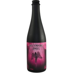 Hidden Springs Ale Works Ascending Angel