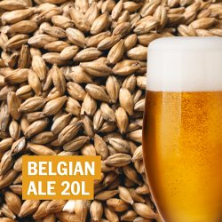 Receita  Belgian Ale 20L - Cerveja Artesanal