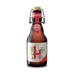 Hopus 33Cl Beugel - Hellobier