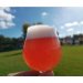 SQBRU Cherry Cherry Lady 0,75 Sour Ale with cherries, bananas, vanilla and chocolate SQBRU Cherry Cherry Lady 0,75 Sour Ale with cherries, bananas, vanilla and chocolate