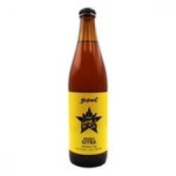 Browar Birbant: Imperial Citra - butelka 500 ml - Piwne Mosty - Stu Mostow