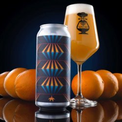 Aslin Beer Company Master Of Oranges - Beer Force