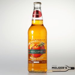 Gwynt Y Ddraig  Orchard Gold Welsh Cider medium 50cl - Melgers