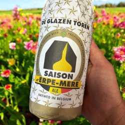 De Glazen Toren Saison d’Erpe-Mere De Glazen Toren Saison d’Erpe-Mere