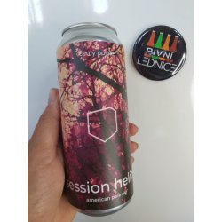 Černý potoka Session Hellion 12°5,2% 0,5l - Pivní lednice