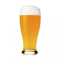 Kit cerveza trigo  weizen sin moler  - todo grano 20 litros - El Secreto de la Cerveza