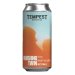 Tempest Brewing Co. Vanishing Twin 
