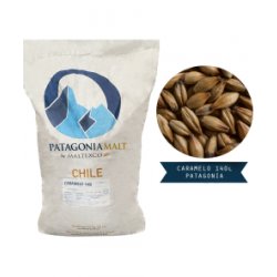 Malta Caramelo 140L Patagonia® - Maltosaa